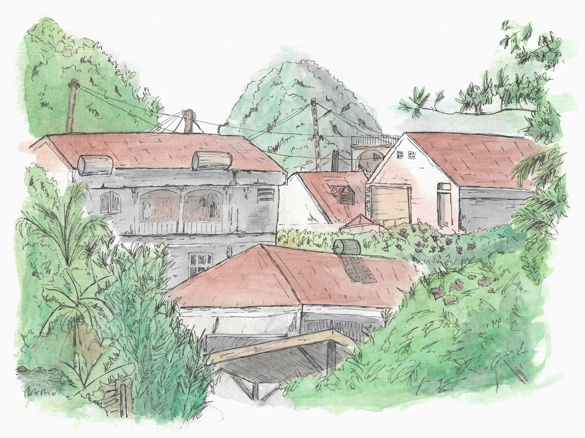 Aquarelle de maisons créoles aux toits rouges entourées de végétation tropicale